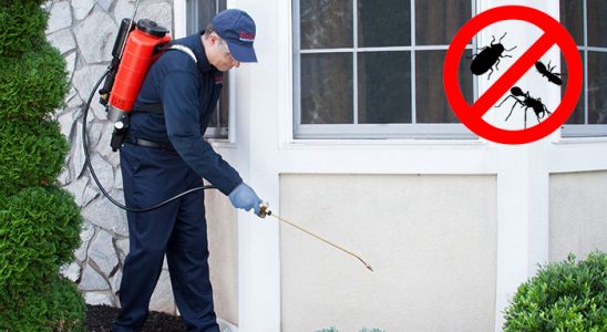 Evka 3 Tahtakurusu İlaçlama böcek ilaçlama ve haşere kontrolü — ilaclama-tr.com
